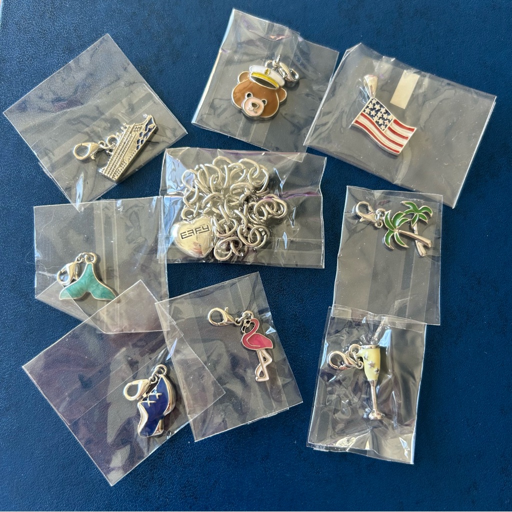 Assorted Silver Charms Bracelet Kit Collection 50$